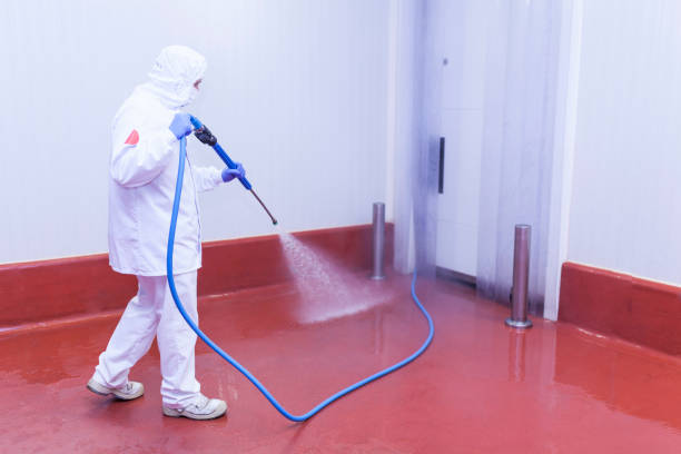Best Boat and Dock Cleaning  in Bryans Road, MD
